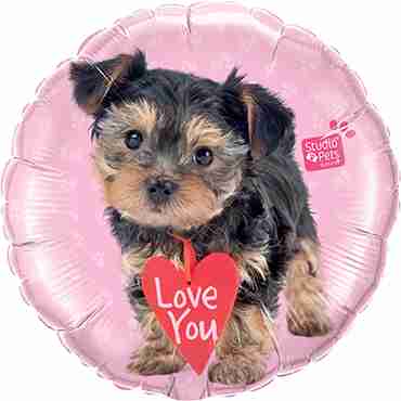 Studio Pets - Love You Terrier Foil Round 18in/45cm